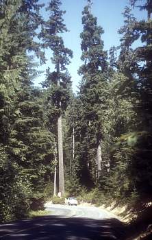 vue0019.jpg