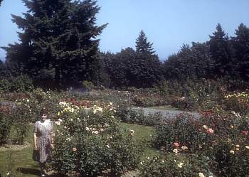 vue0022.jpg
