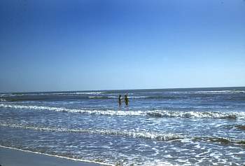 vue0034.jpg