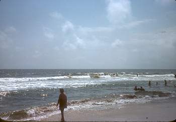vue0009.jpg