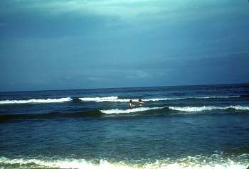 vue0050.jpg