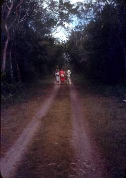 vue0025.jpg