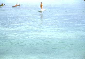 vue0019.jpg