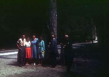 vue0009.jpg
