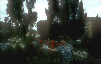 vue0016.jpg