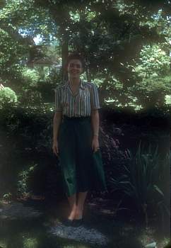 vue0028.jpg