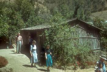 vue0005.jpg