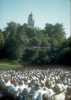 vue0013.jpg