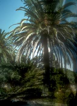 vue0040.jpg