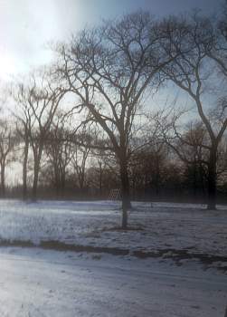vue0041.jpg