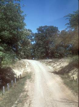 vue0049.jpg