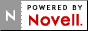 Novell BorderManager Logo